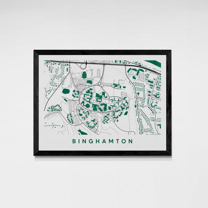 Binghamton New York Map