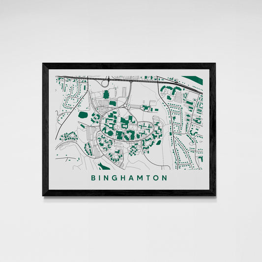 Binghamton New York Map
