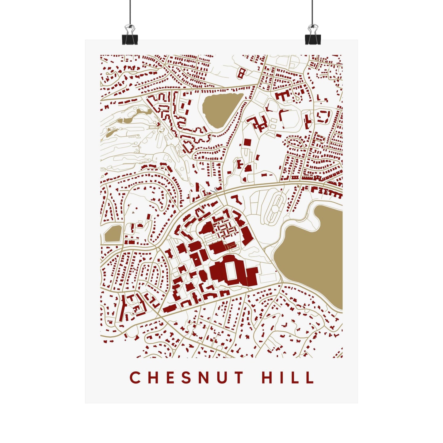 Chesnut Hill MA Map