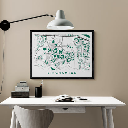 Binghamton New York Map