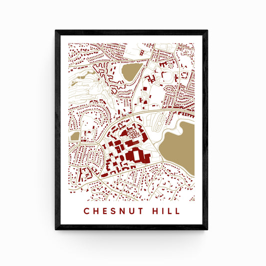 Chesnut Hill MA Map