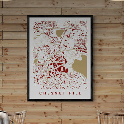Chesnut Hill MA Map